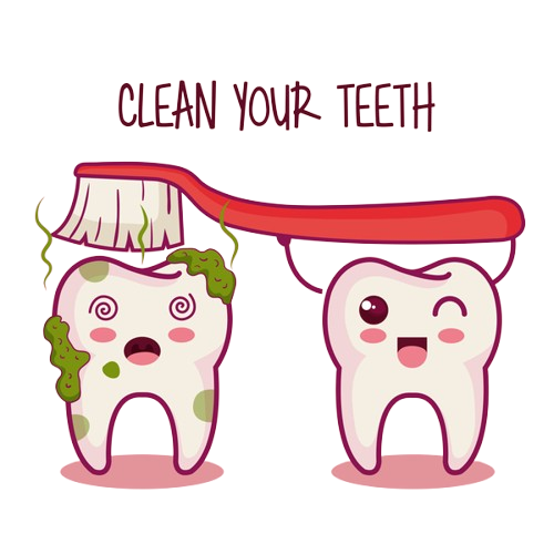 Teeth Cleaning